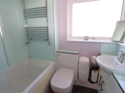 Picture 11